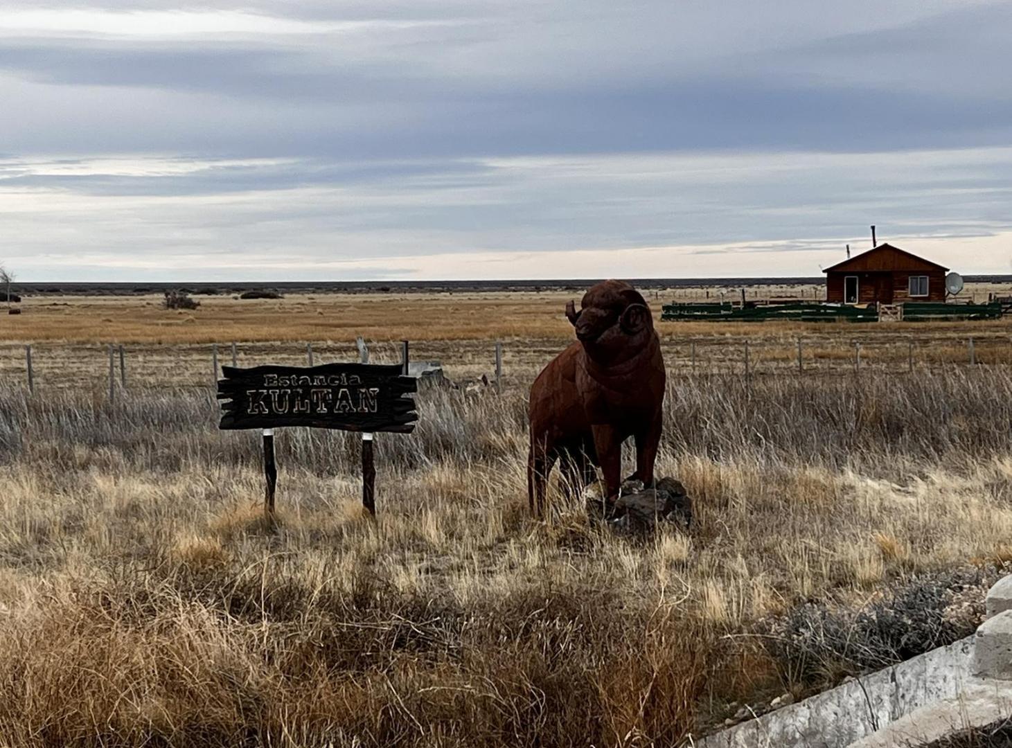 Foto de Estancia ganadera en Río Senguer, Chubut | Patagonia | Producción ovina, imagen 5