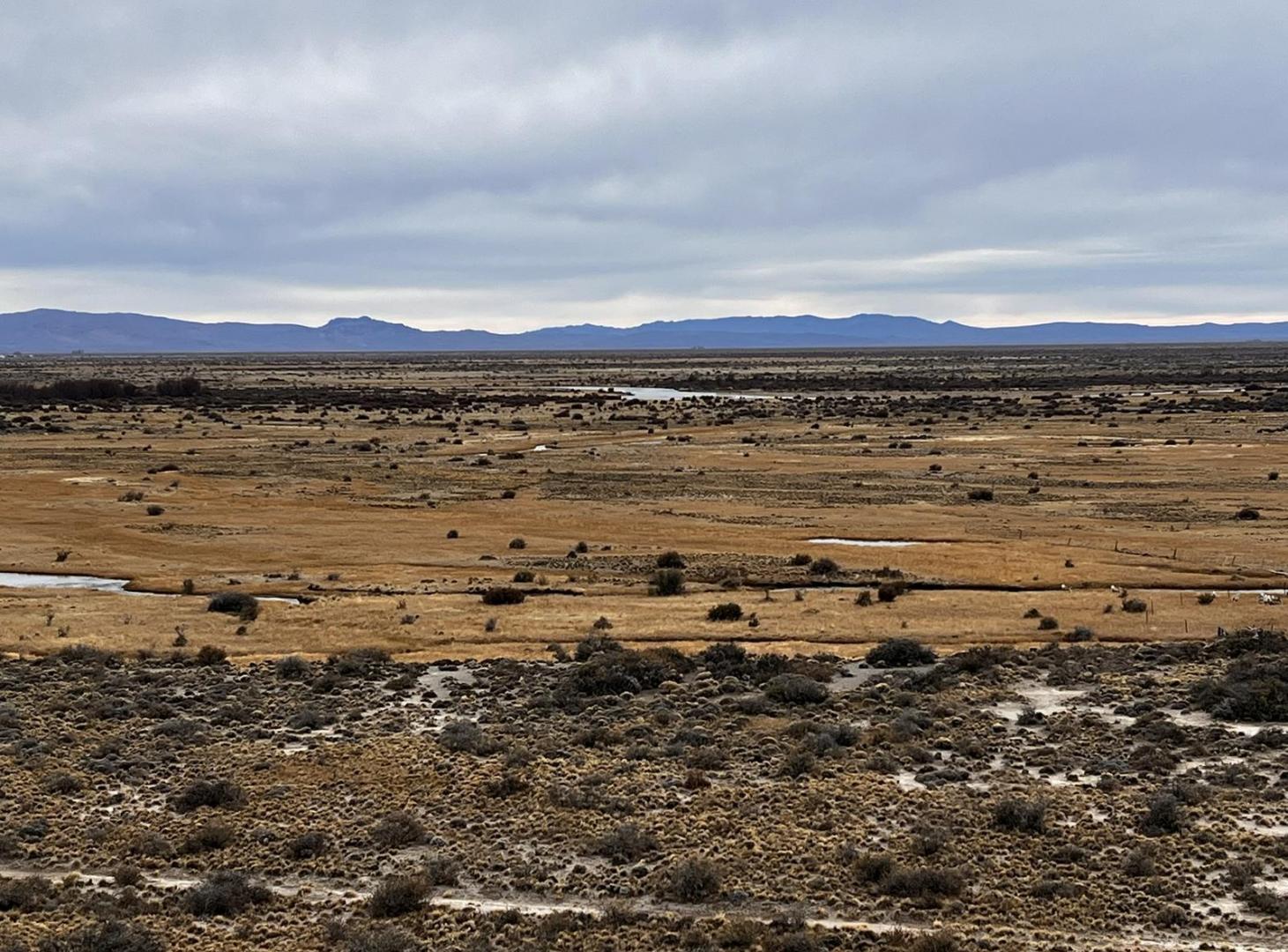 Foto de Estancia ganadera en Río Senguer, Chubut | Patagonia | Producción ovina, imagen 2