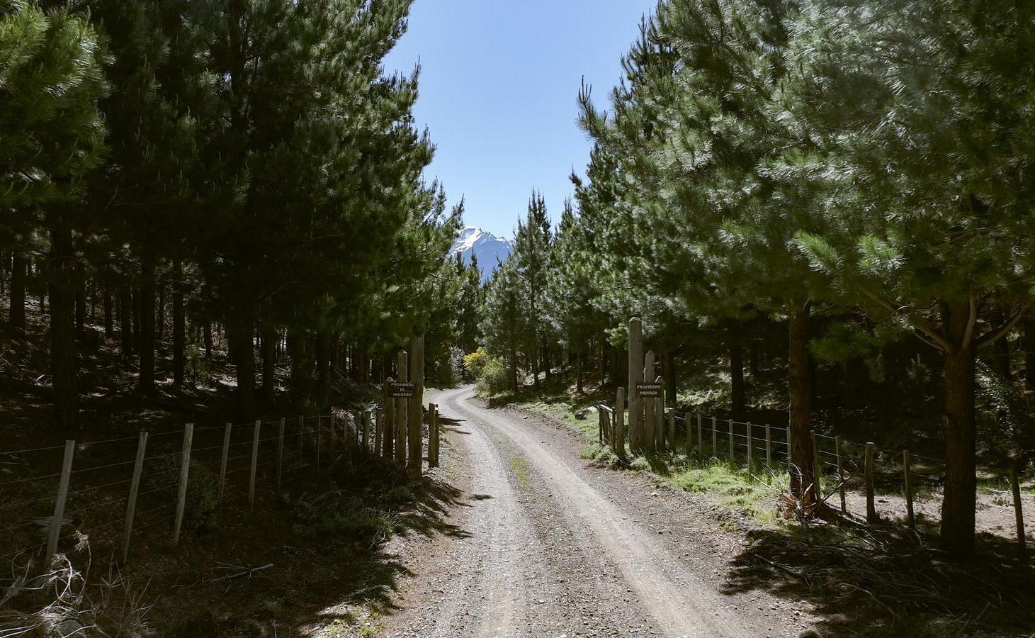 Foto de Campo en Trevelin, imagen 2