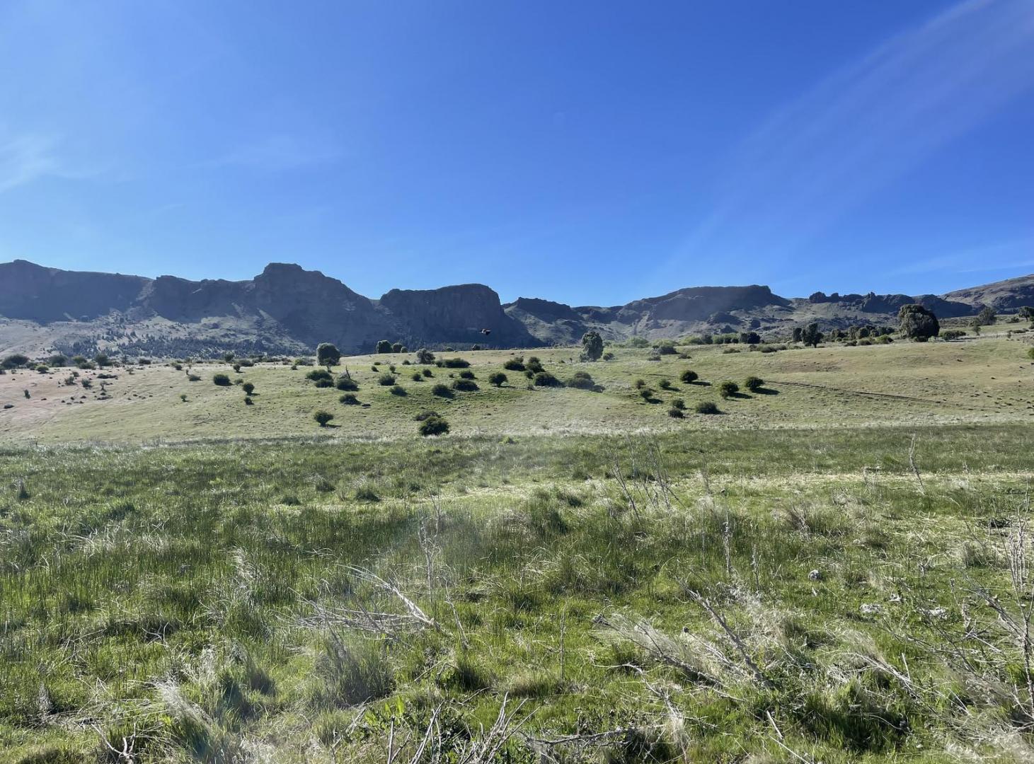 Foto de Campo en Trevelin, imagen 2