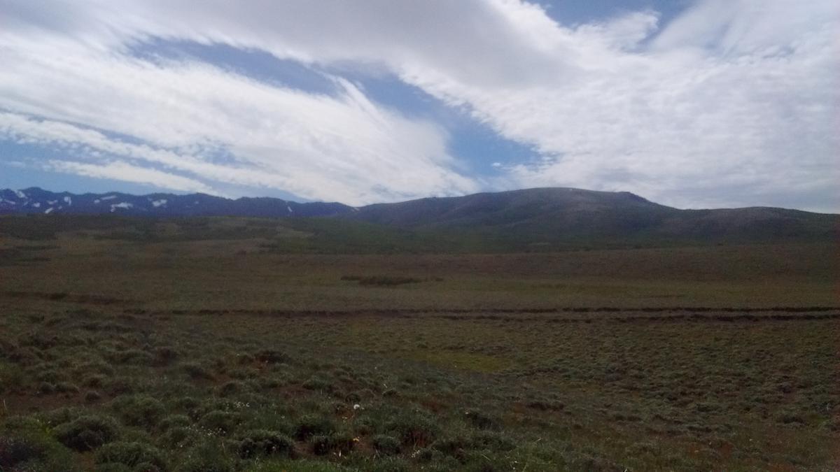 Foto de Campo en venta en Cholila, Chubut | 1.600 hectáreas con vistas a los, imagen 2