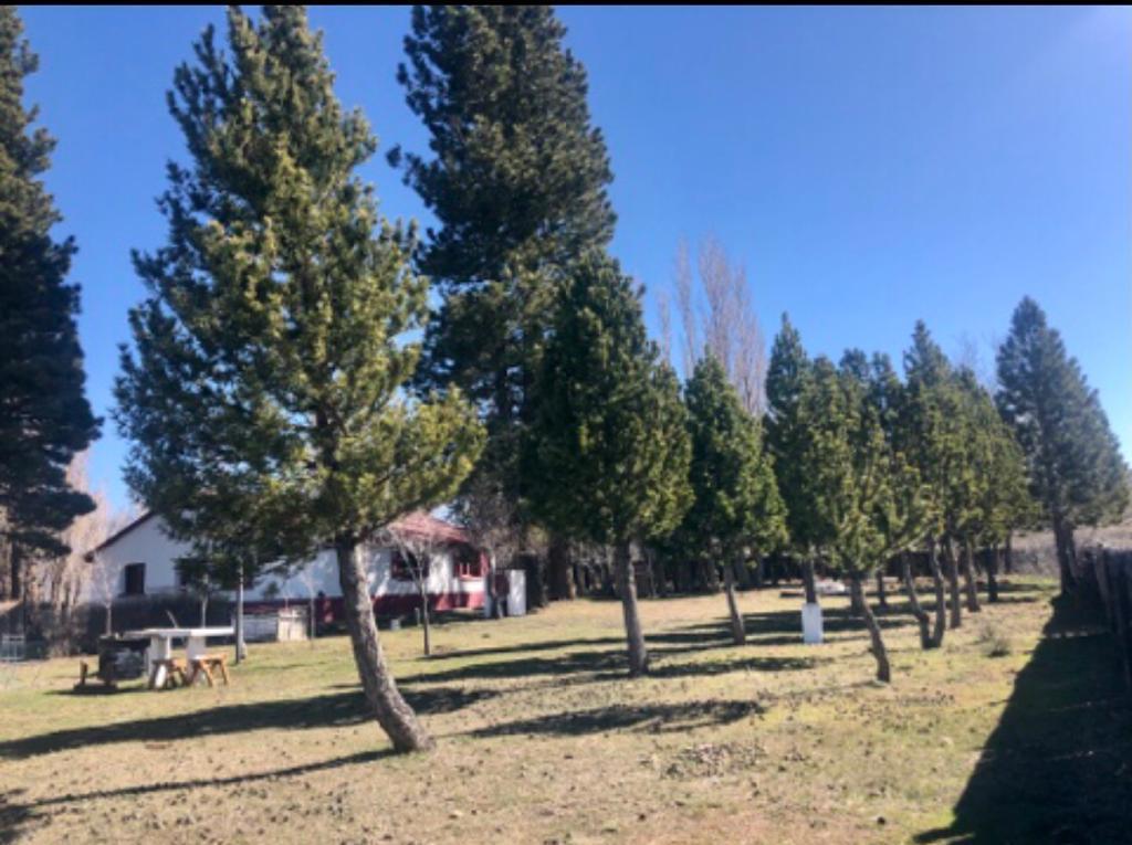 Foto de Estancia ganadera en venta en Tecka, Chubut | 13.000 hectáreas con, imagen 1