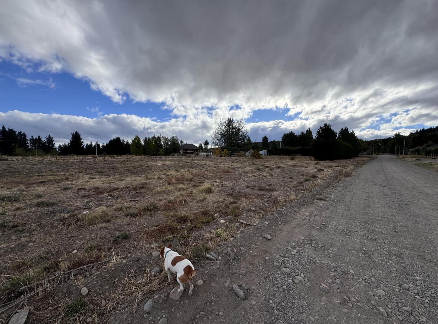 Foto de Terreno en Venta en Esquel | Villa Ayelén | 2.500 m² en Esquina, imagen 4