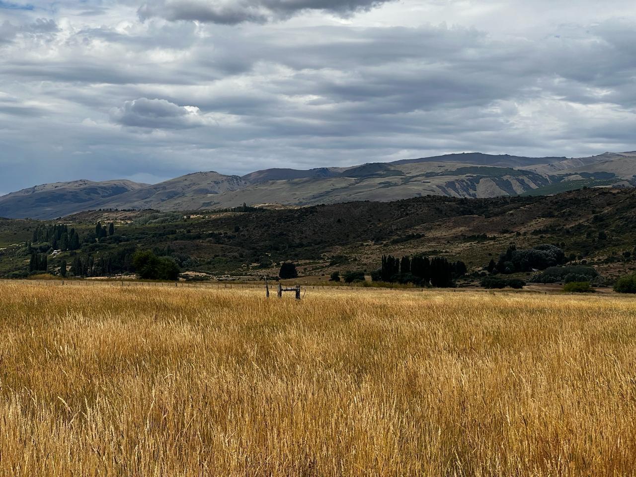 Foto de Campo en Venta en Cholila, Chubut | 30 Hectáreas Productivas en Valle, imagen 1