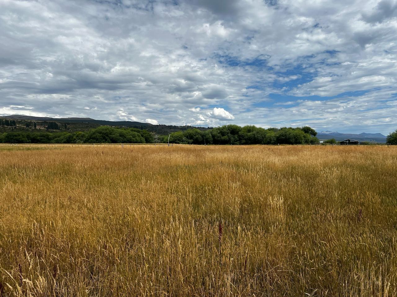 Foto de Campo en Venta en Cholila, Chubut | 30 Hectáreas Productivas en Valle, imagen 5