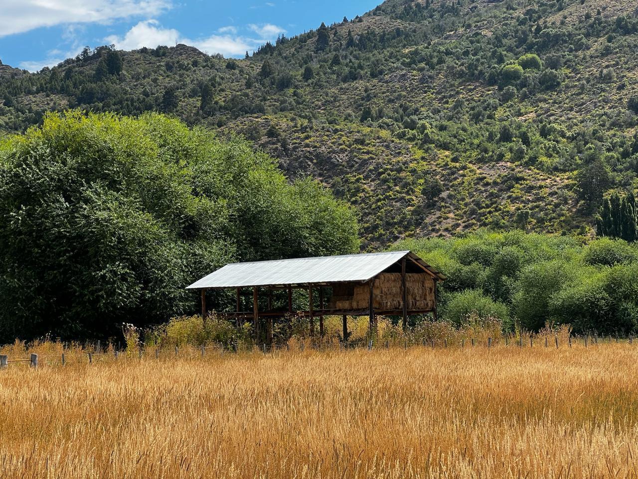 Foto de Campo en Venta en Cholila, Chubut | 30 Hectáreas Productivas en Valle, imagen 4
