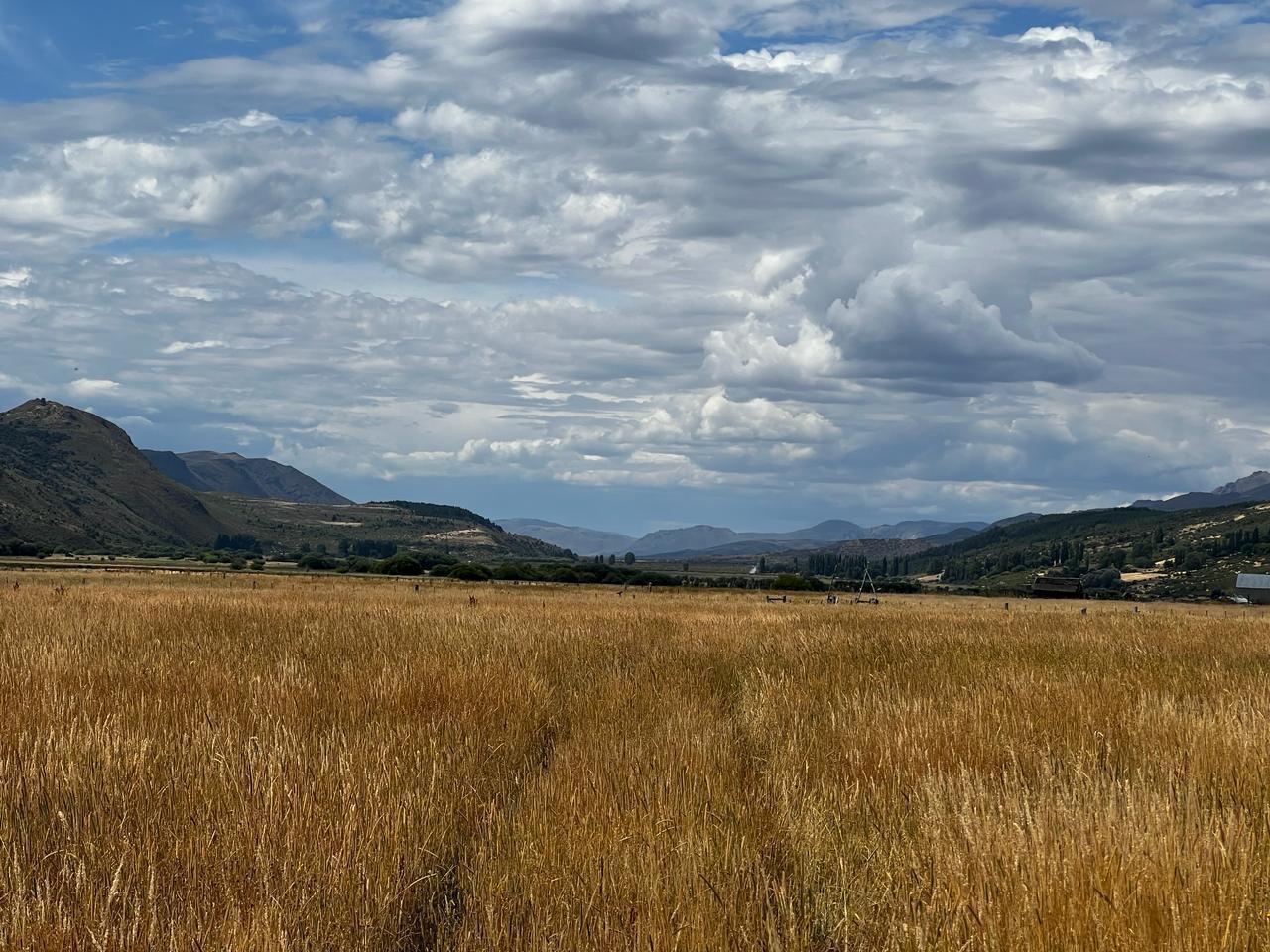 Foto de Campo en Venta en Cholila, Chubut | 30 Hectáreas Productivas en Valle, imagen 3