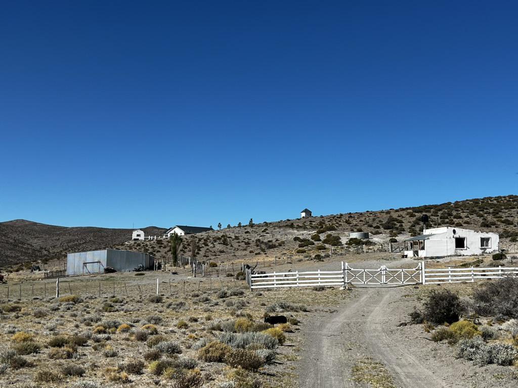 Foto de Estancia ganadera en venta en Chubut | 15.000 hectáreas con, imagen 3
