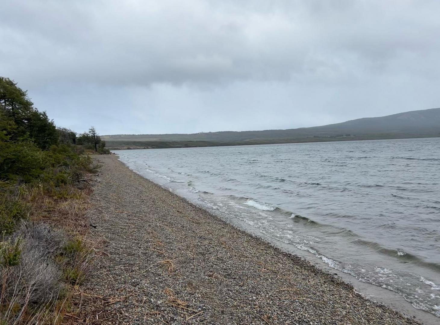 Foto de Campo en Venta sobre el Lago Engaño, Río Pico, Chubut | 1.000 ha con, imagen 3
