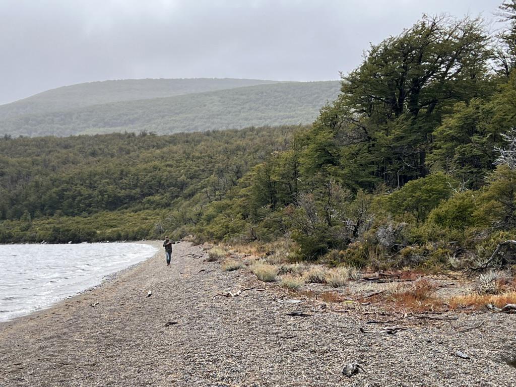 Foto de Campo en Venta sobre el Lago Engaño, Río Pico, Chubut | 1.000 ha con, imagen 2