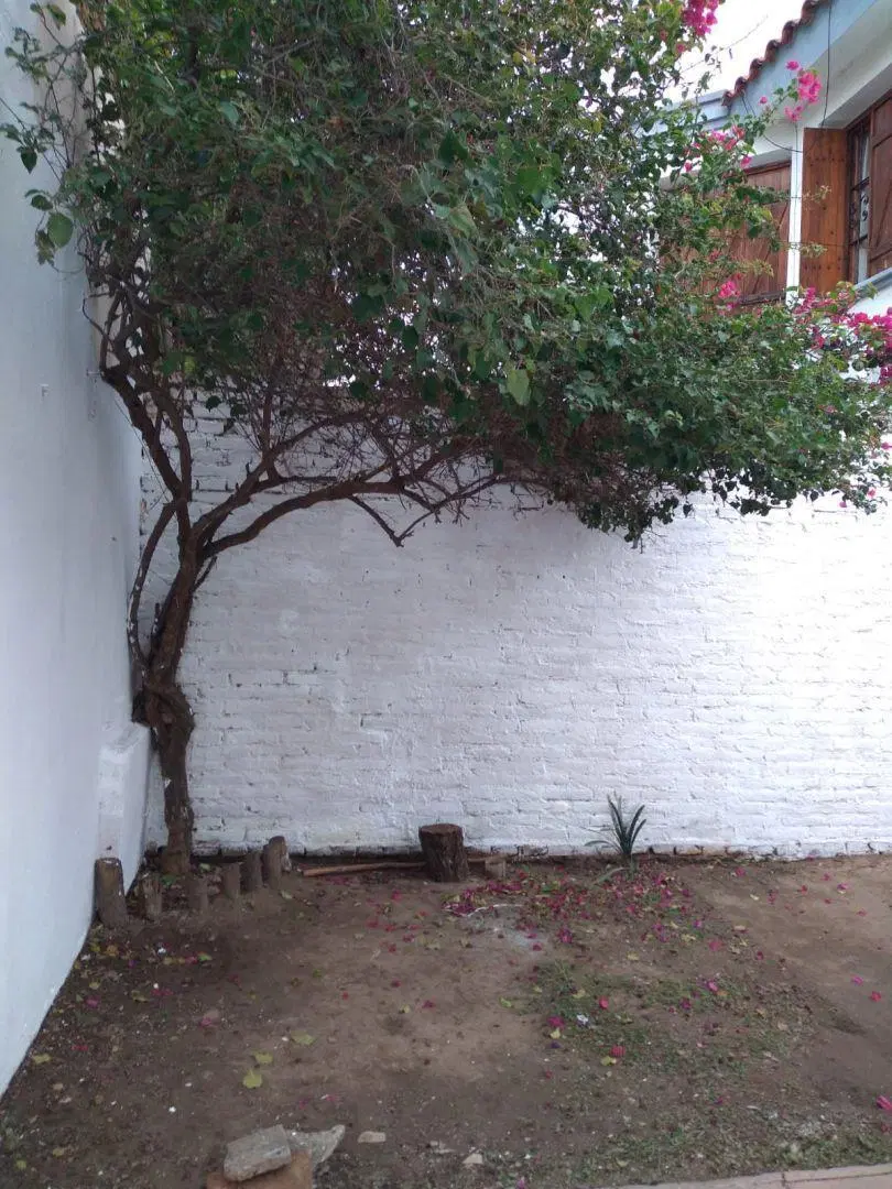 Rogelio Martínez - 2 Dorm. 2