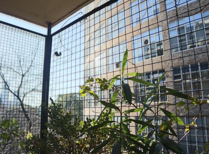 Excelente depto, en inmejorable zona, hecho a nuevo, balcón.  4