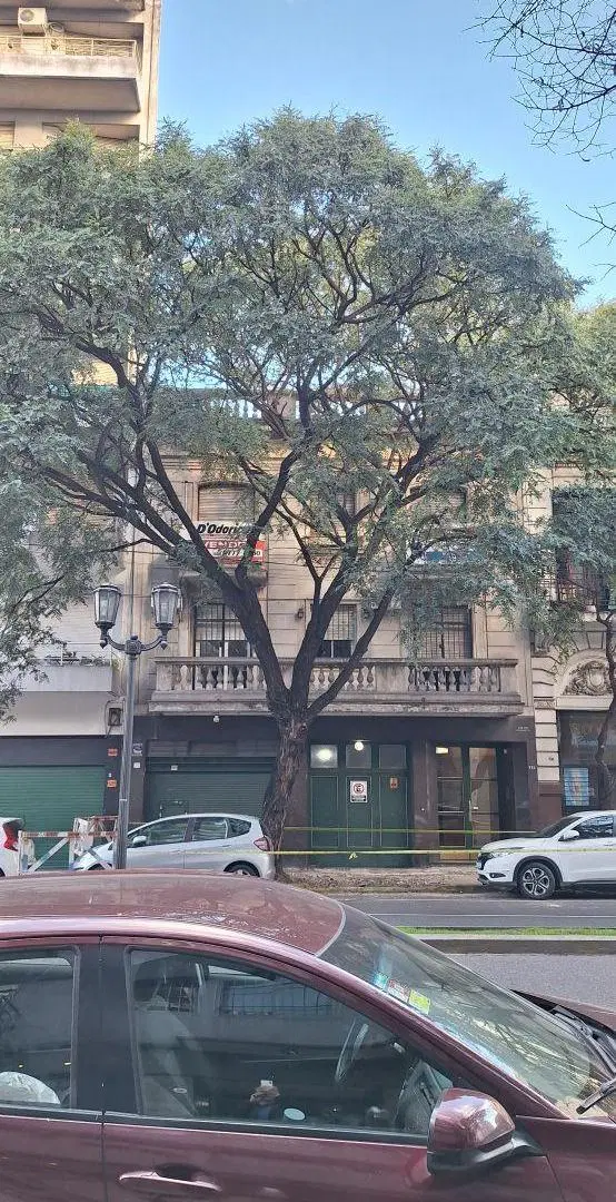 AMPLIO DEPARTAMENTO CON JARDIN Y QUINCHO Y PARRILLA 1