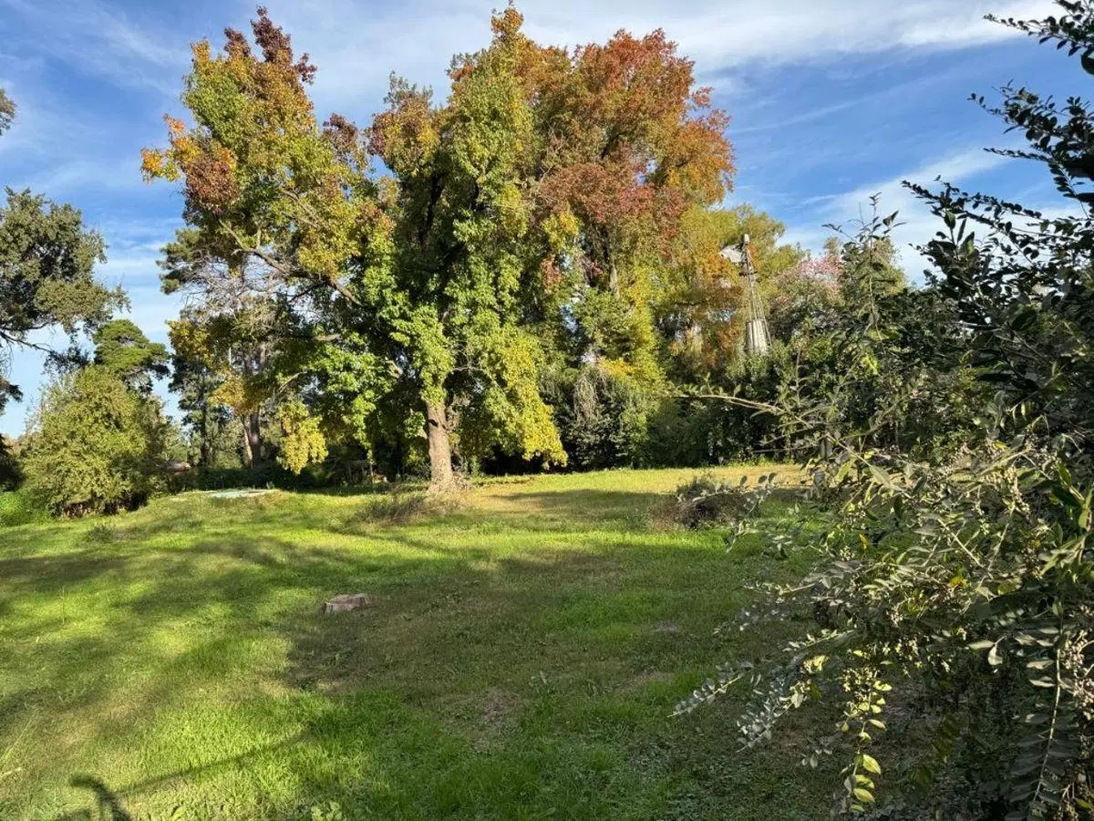 Lote increíble en Los Pinos 1