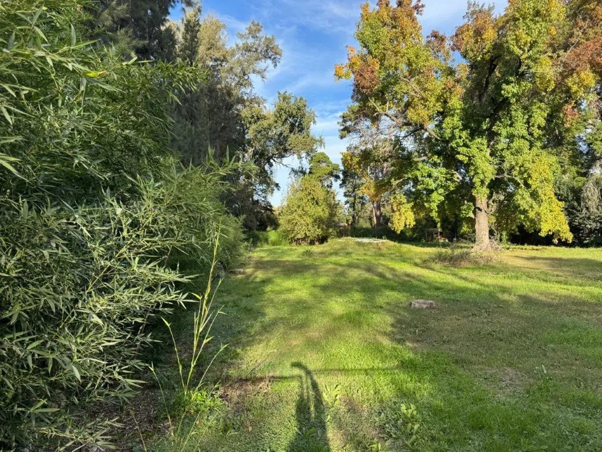 Lote increíble en Los Pinos 2