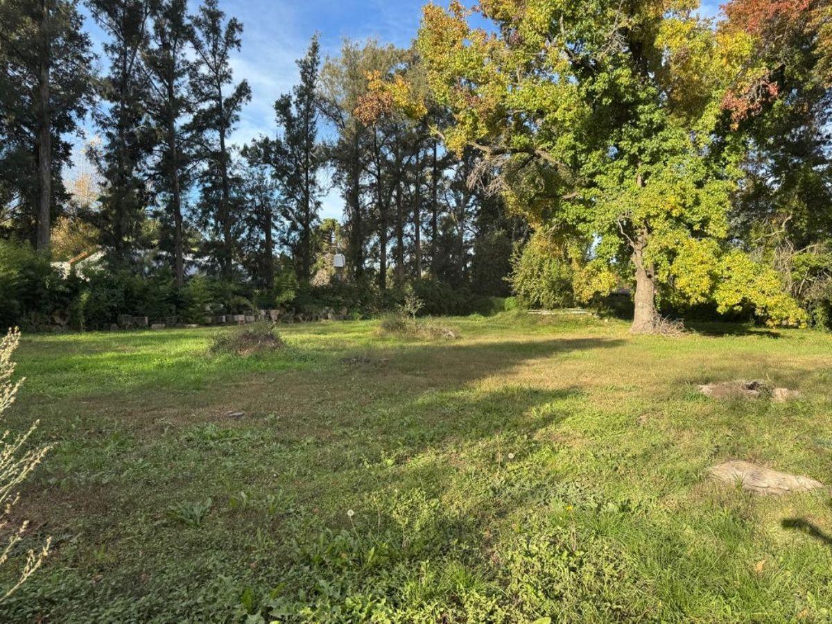Lote increíble en Los Pinos