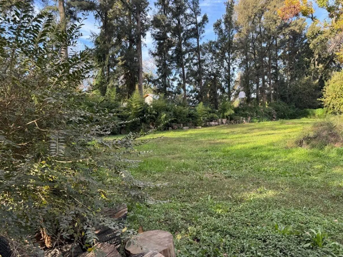 Lote increíble en Los Pinos 5