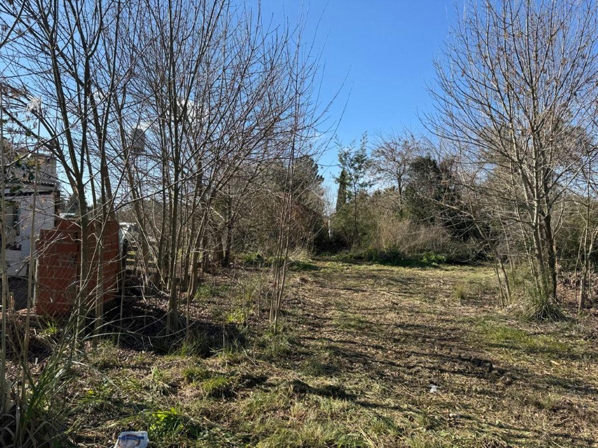 Foto de Oportunidad lote en Jularó!, imagen 4