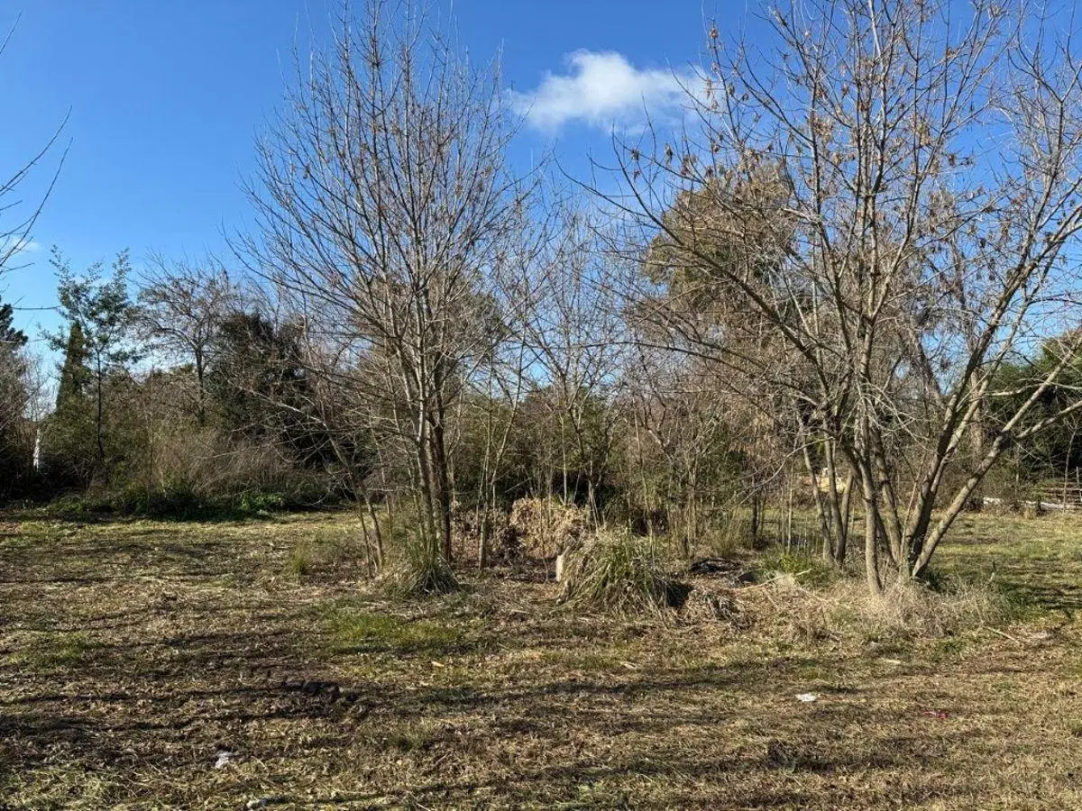 Oportunidad lote en Jularó! 3