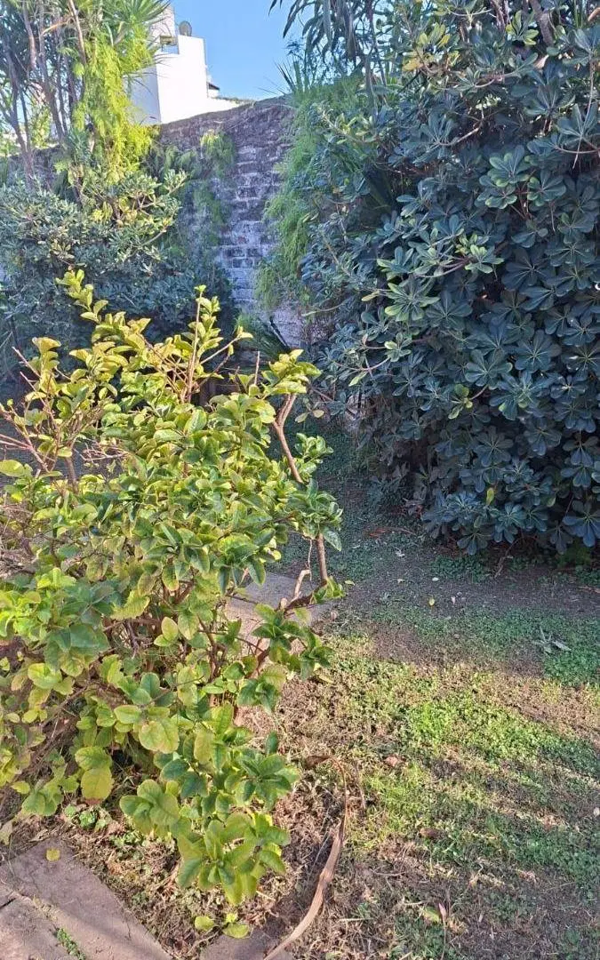 Hermoso chalet en dos plantas con cochera, ptio jdin parrilla y vivda multiuso al fdo 3