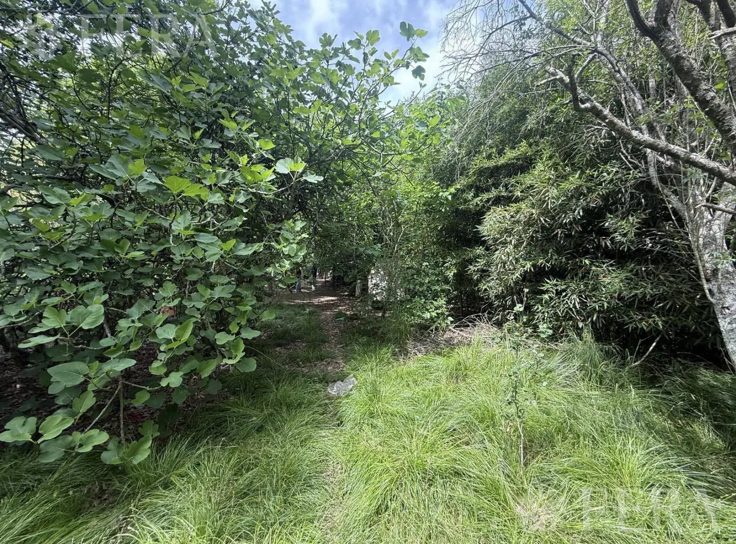 Venta casa 3 ambientes en lote de 2090 m2 en Barrio Parque Las Acacias 5
