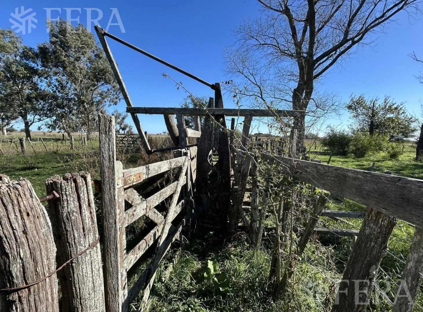 Venta Campo 302 hectáreas en Comandante Giribone Chascomus 2