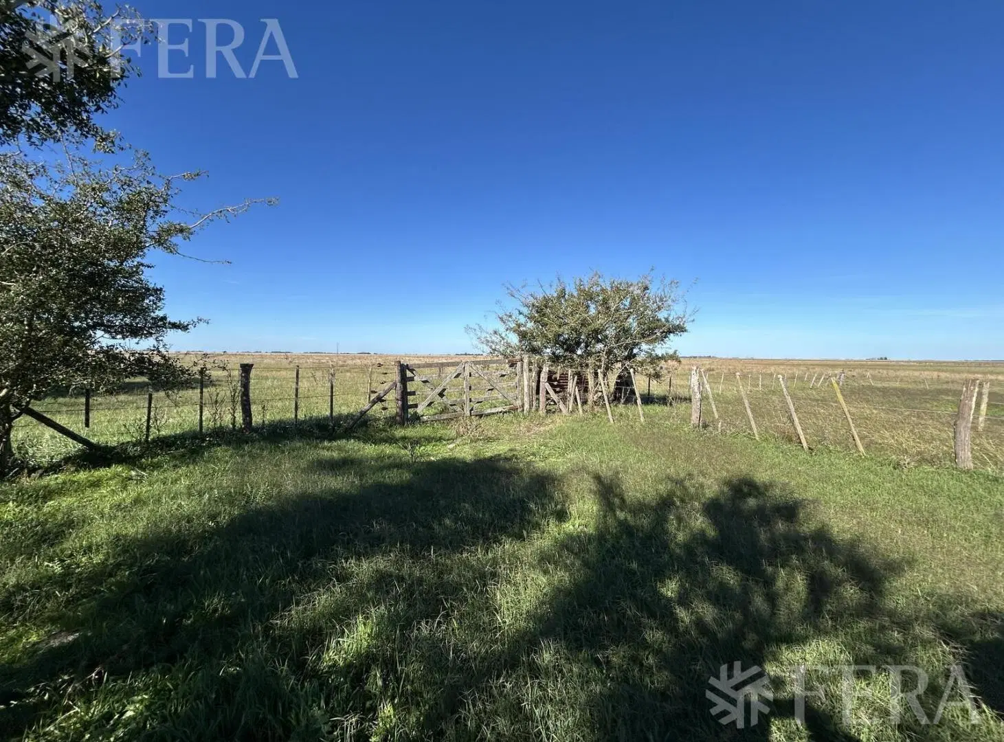 Venta Campo 302 hectáreas en Comandante Giribone Chascomus 5