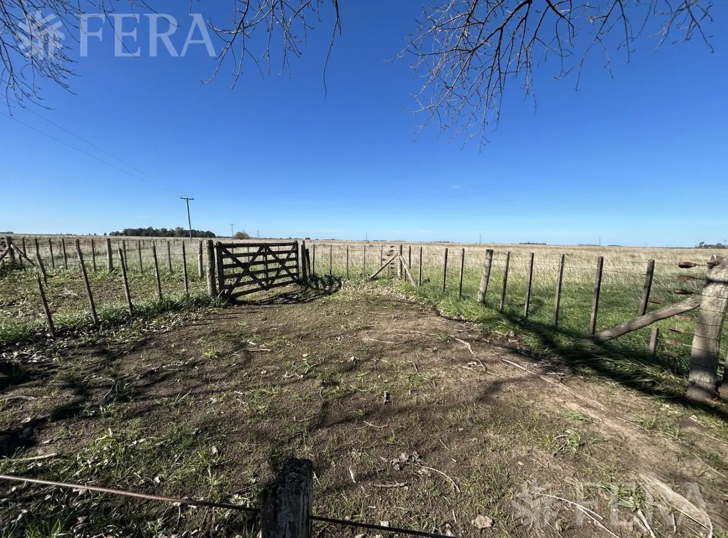 Venta Campo 302 hectáreas en Comandante Giribone Chascomus 4