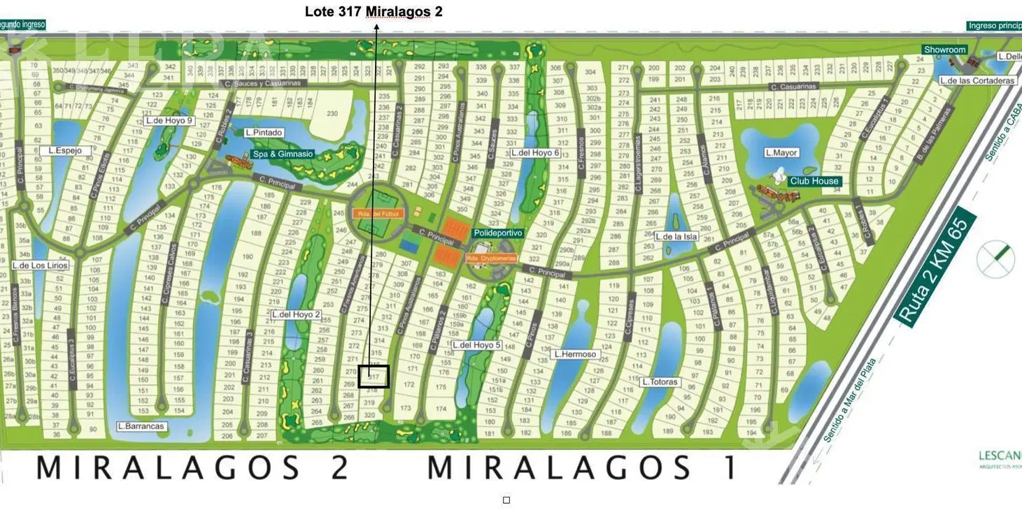 Plano 1