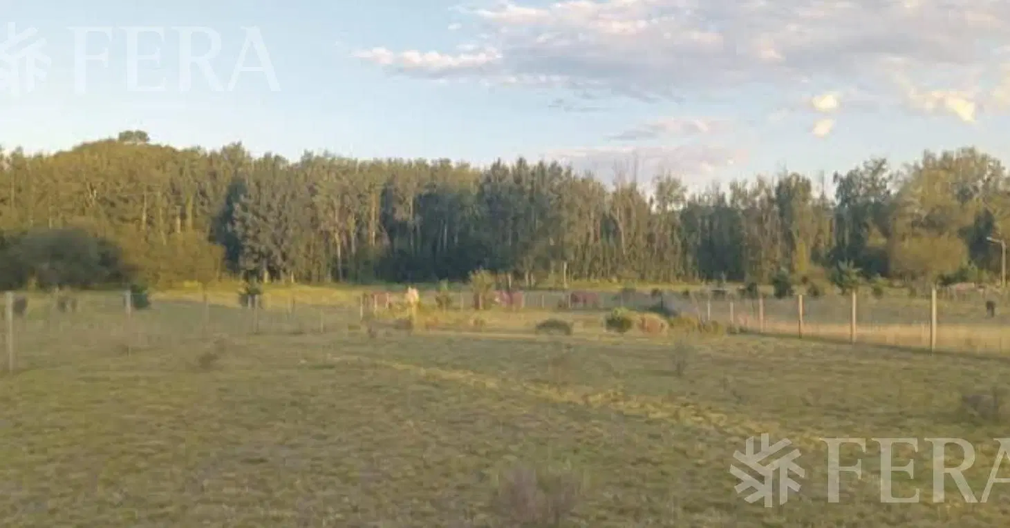 Venta de terreno de 1273 m2 en Tandil 2