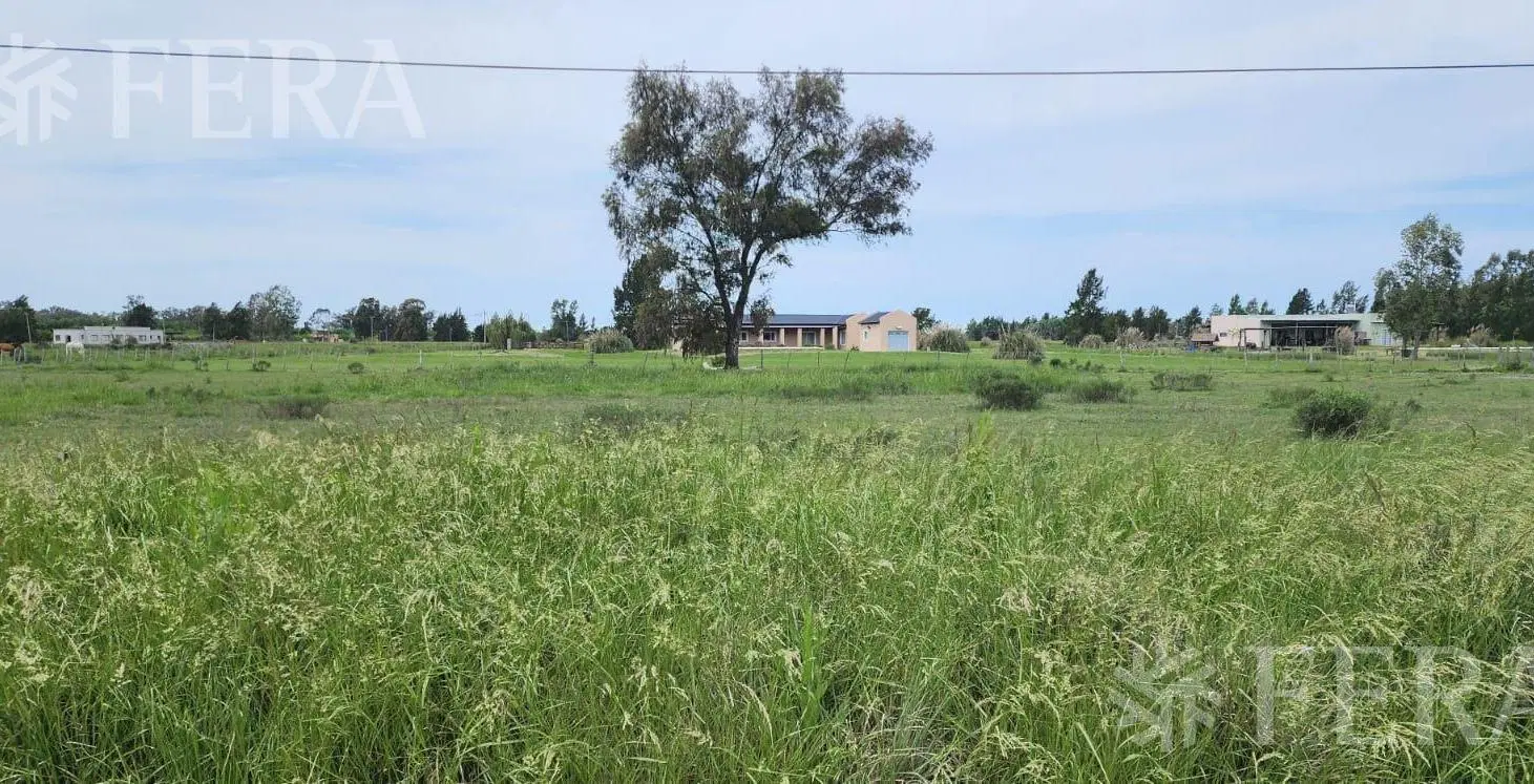Venta Terreno en Estancia Las Malvinas 1-Coronel Brandsen 4