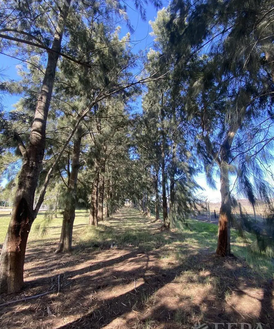 Venta de lote perimetral de 911,81 m2 en Club Miralagos 2 3