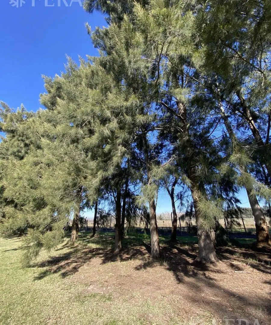 Venta de lote perimetral de 911,81 m2 en Club Miralagos 2 5