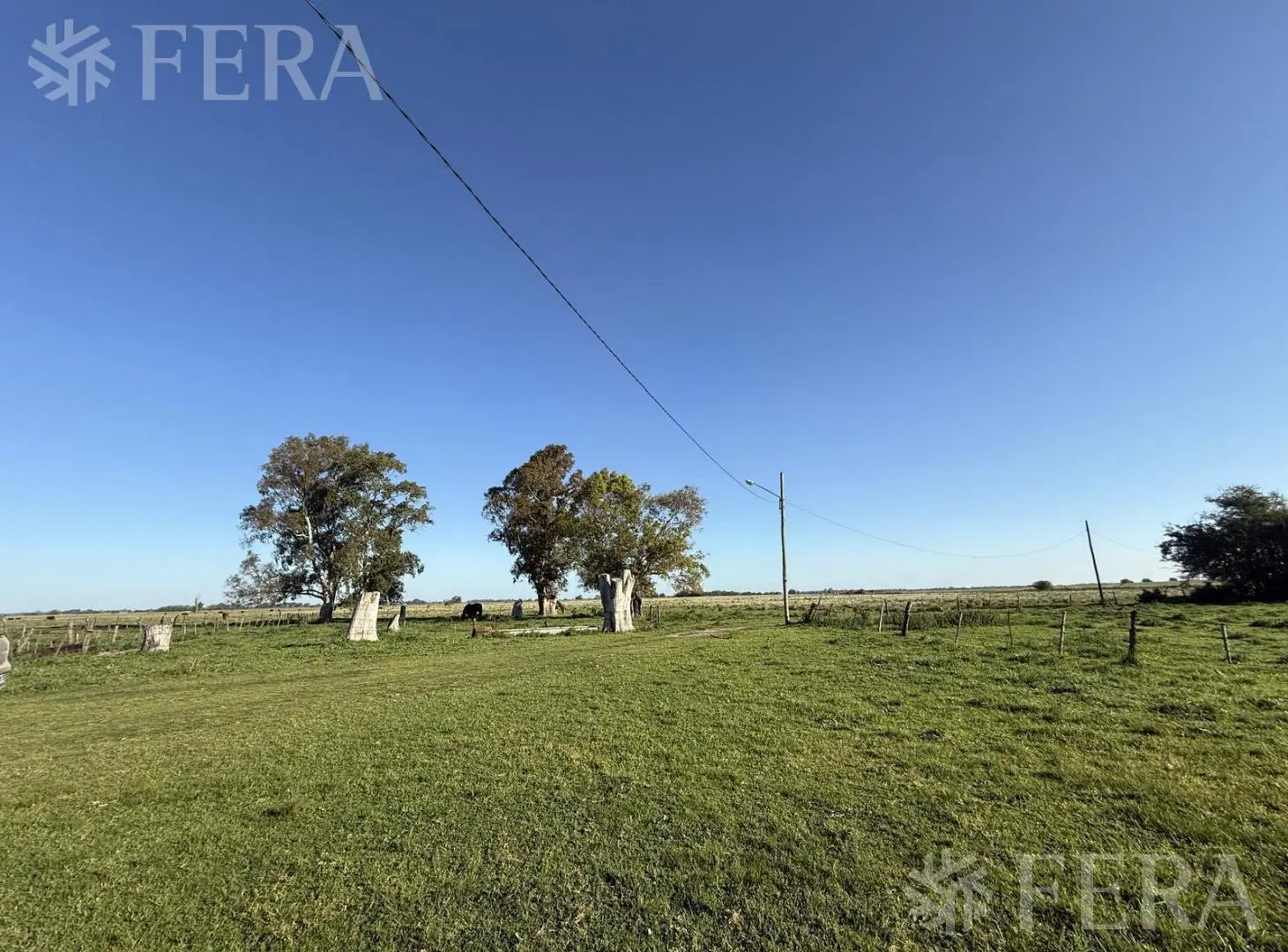 Venta campo de 31 hectáreas en La Plata 1