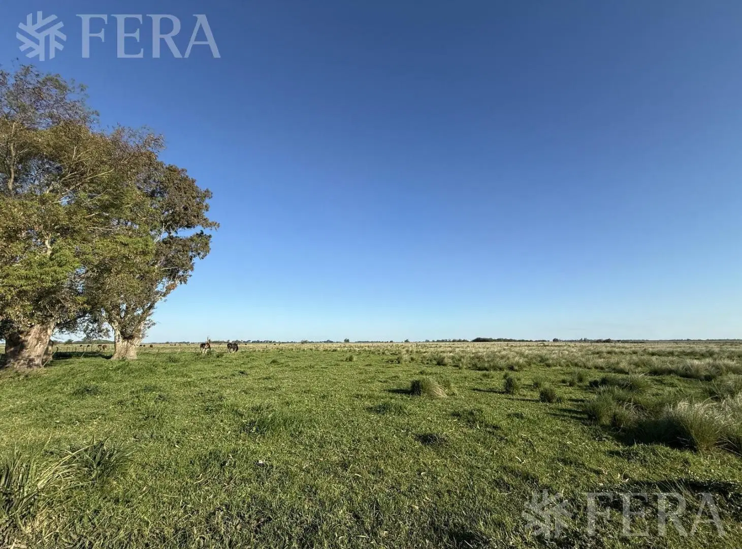 Venta campo de 31 hectáreas en La Plata 2