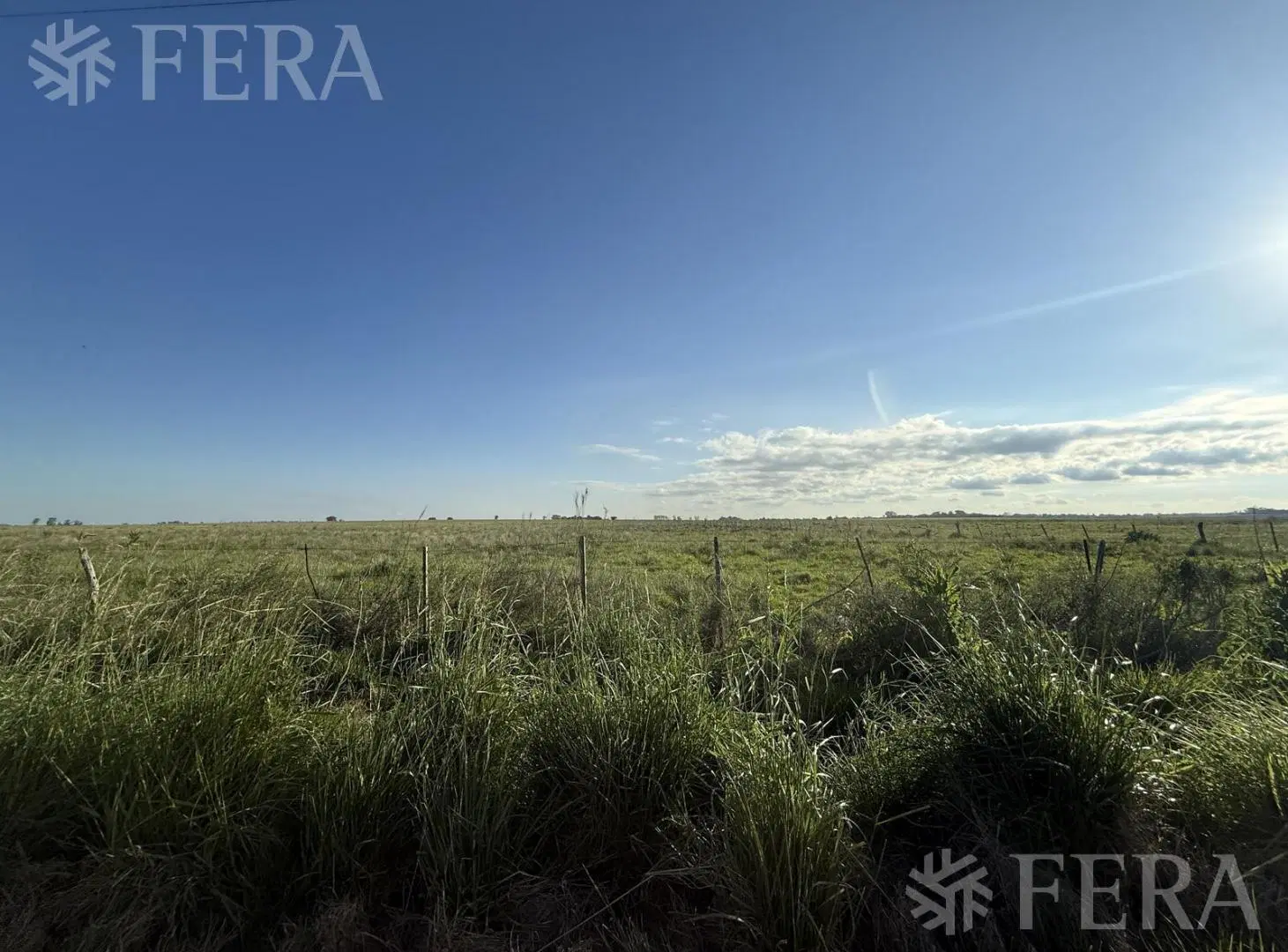 Venta campo de 31 hectáreas en La Plata 5