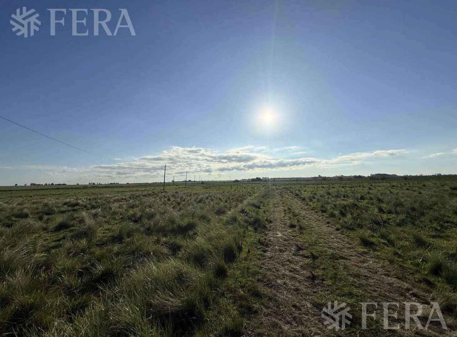 Venta campo de 31 hectáreas en La Plata 4