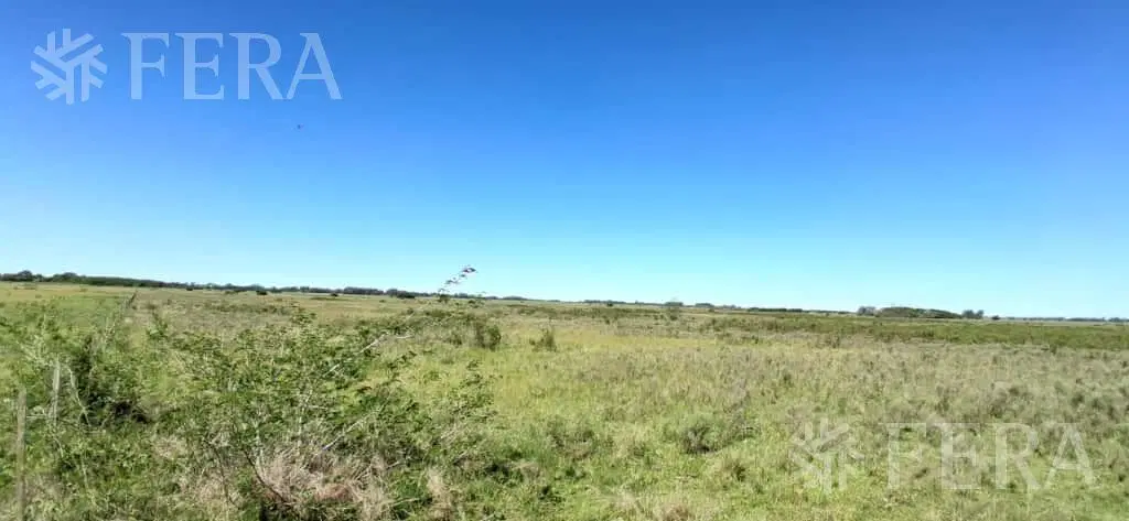 Venta campo de 49 hectareas en La Plata 3