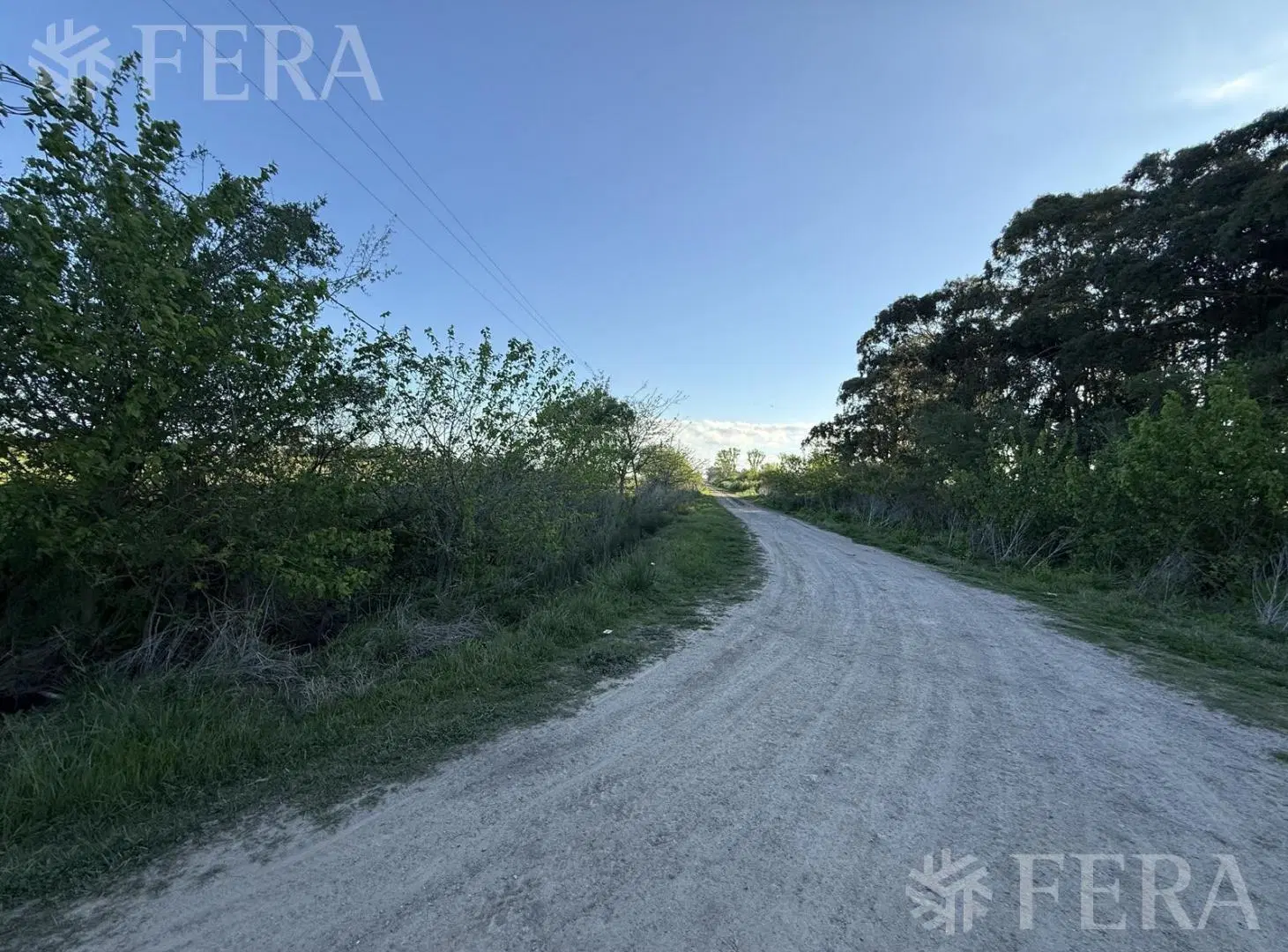 Venta campo de 49 hectareas en La Plata 5