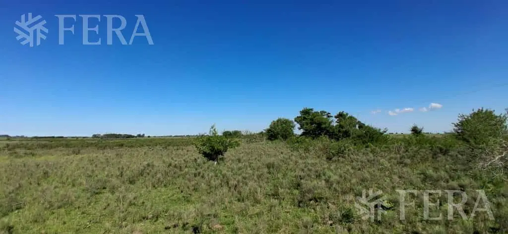 Venta campo de 49 hectareas en La Plata 8