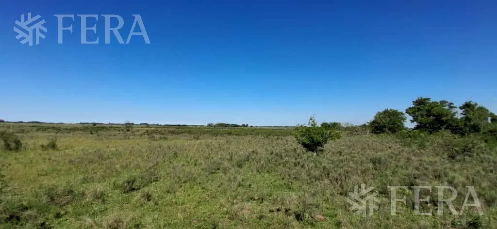 Venta campo de 49 hectareas en La Plata 4