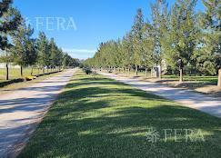 Foto de Venta lote de 2400 m2 en Campos de Roca II, imagen 2