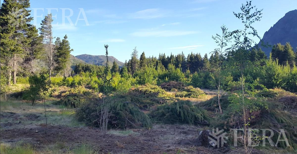 Foto de Venta de hectárea en El Hoyo - Chubut, imagen 5