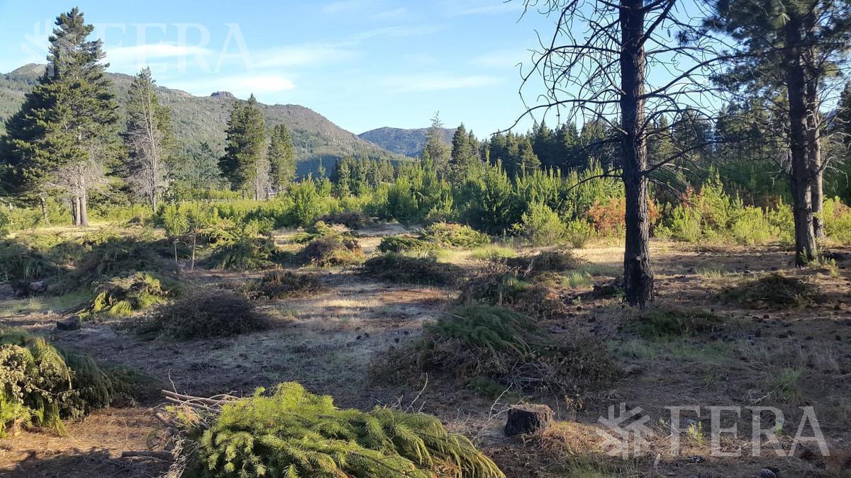 Foto de Venta de hectárea en El Hoyo - Chubut, imagen 1