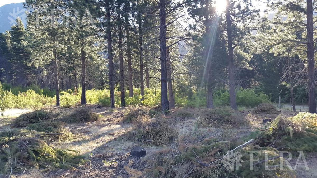 Foto de Venta de hectárea en El Hoyo - Chubut, imagen 2