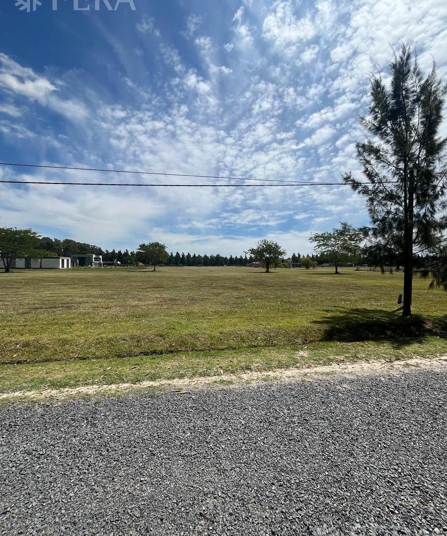 Foto de Venta de terreno de 2490 m2 en Campos de Roca II, imagen 5