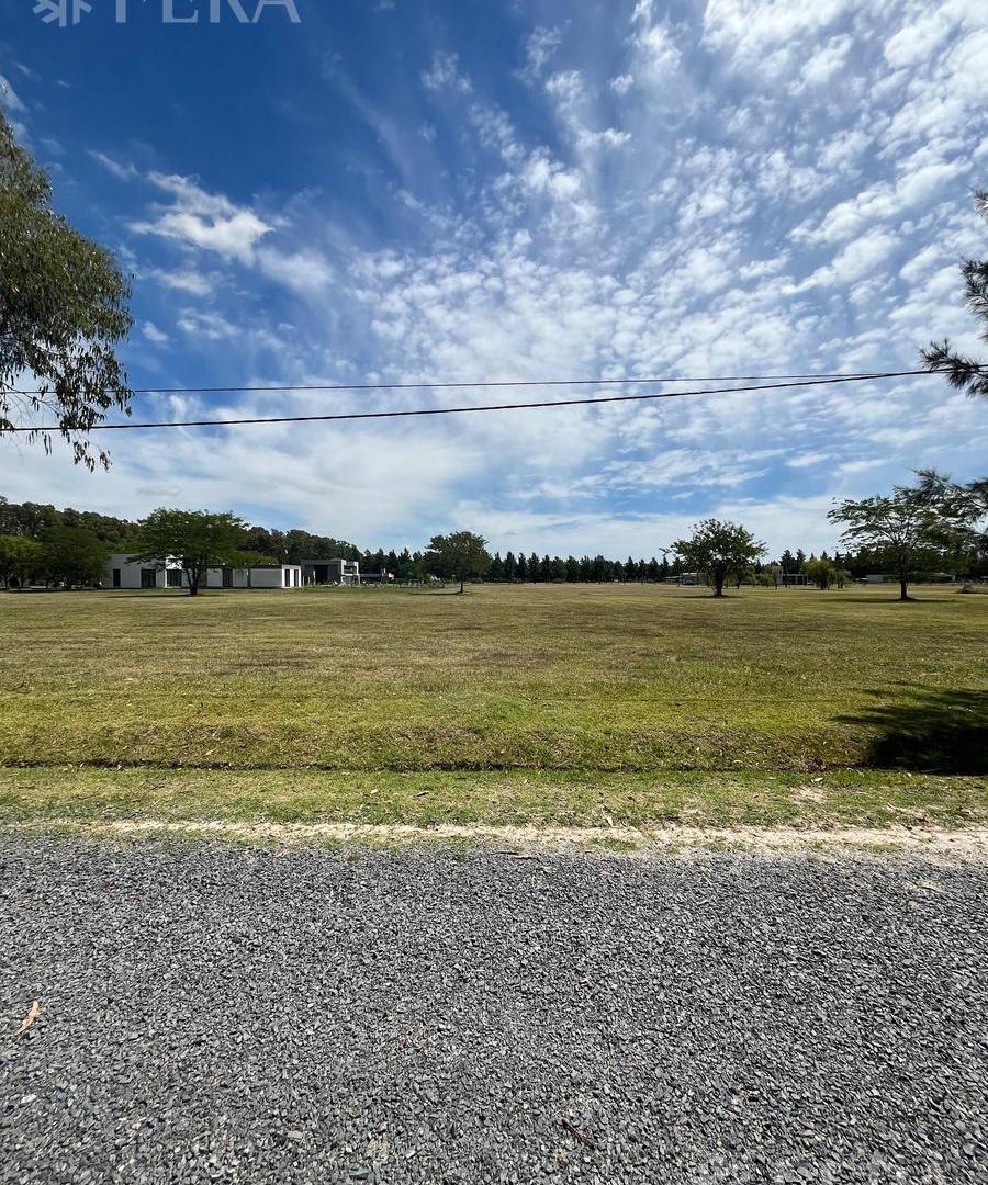 Foto de Venta de terreno de 2490 m2 en Campos de Roca II, imagen 3