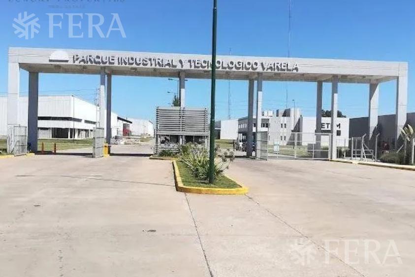 Foto de Venta Lote en Parque Industrial y Tecnológico-Florencio Varela, imagen 3