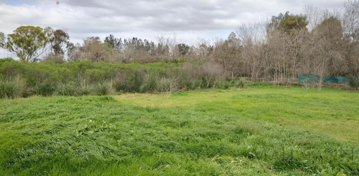 Excelente construcción en lote de 10.000 m2 3