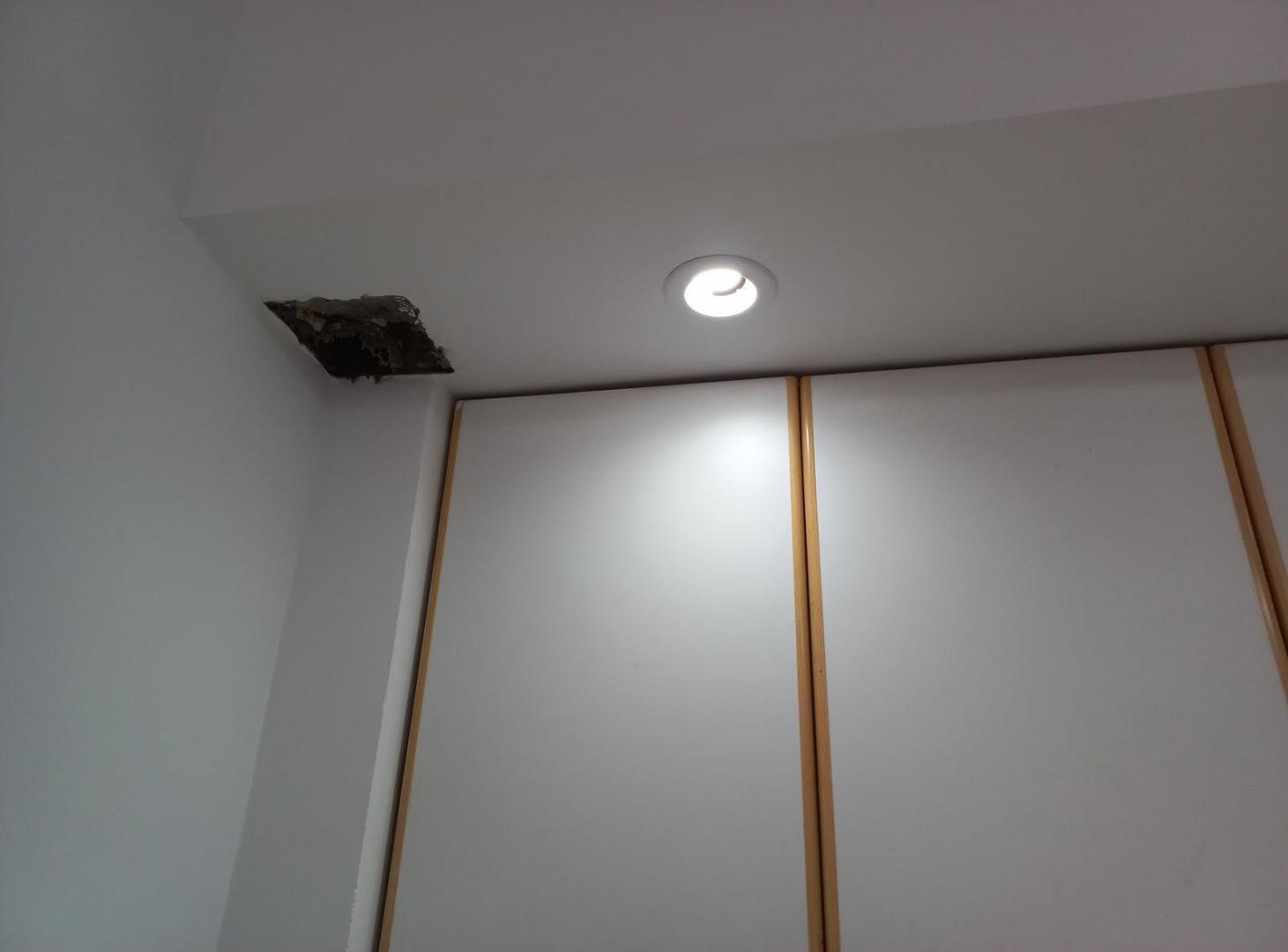 Foto de Monoambiente al frente-Se entrega pintado-balcón-baño completo, imagen 1